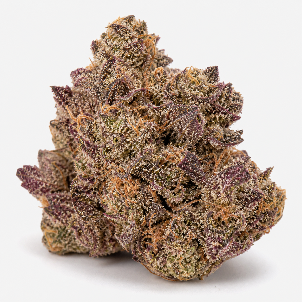Cogollo de Alaskan Thunder Fuck Feminizada con hojas moradas, zonas verdes y pistilos anaranjados, en primer plano sobre fondo blanco.