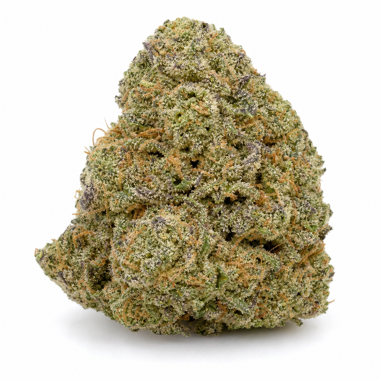 Cogollo de Amnesia Haze de Soma Seeds, de forma cónica, verde con zonas violáceas y filamentos anaranjados, sobre fondo blanco.