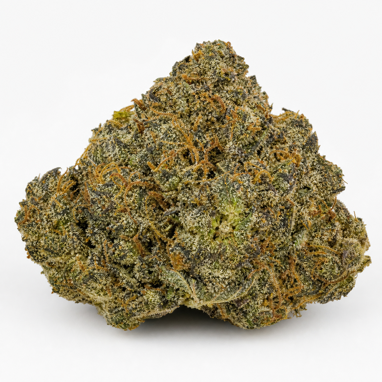 Cogollo de Anubis x Sunset Sherbet de Pyramid Seeds sobre fondo blanco, de forma compacta, con tonos verdes y oscuros y pistilos anaranjados.