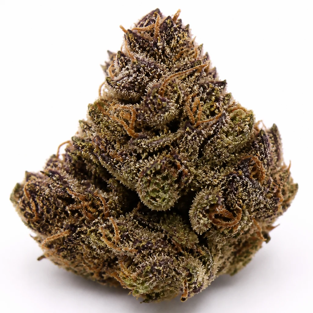 Ilustración de un cogollo de tonos oscuros y morados, con pistilos anaranjados, para la ficha de Auto Banana Purple de Paradise Seeds.