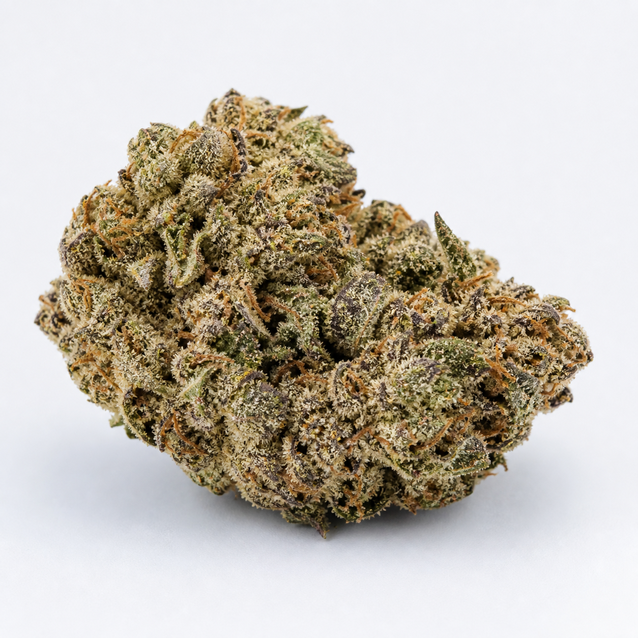 Cogollo de Auto Black Bomb de Philosopher Seeds en primer plano, con tonos verdes y morados, filamentos anaranjados y abundante recubrimiento blanquecino.