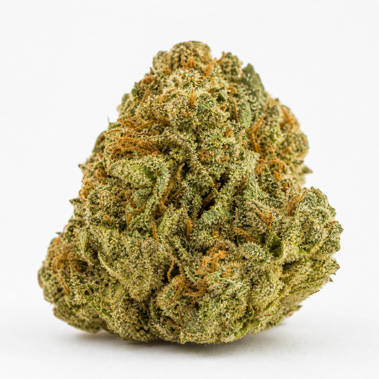 Cogollo de Auto Cherry Pie de Advanced Seeds sobre fondo blanco, con forma cónica, hojas verdes y filamentos anaranjados entre tricomas.