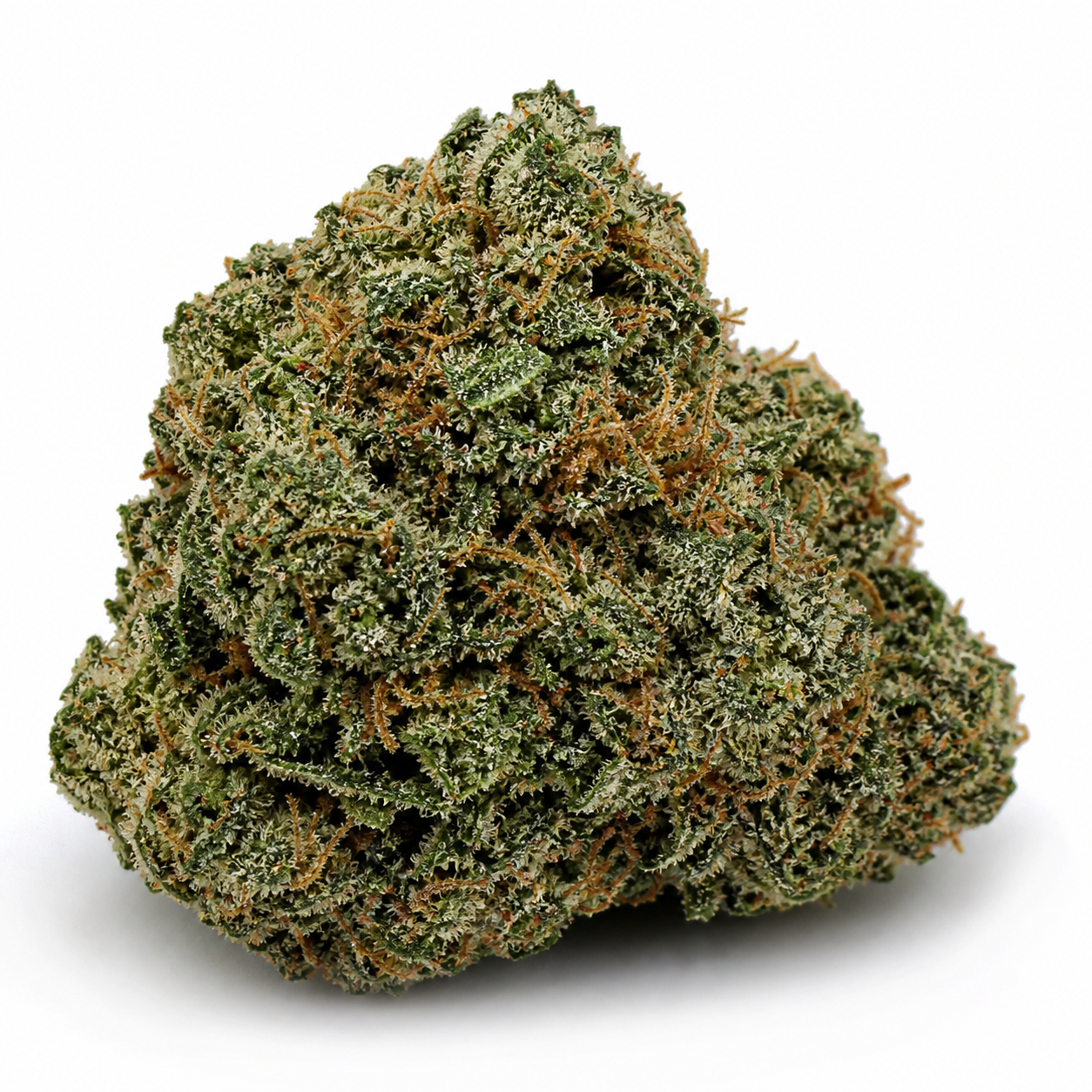 Cogollo de Auto Corkscrew x Tyson 2.0 de Royal Queen Seeds sobre fondo blanco, con tonos verdes, pistilos anaranjados y tricomas visibles.