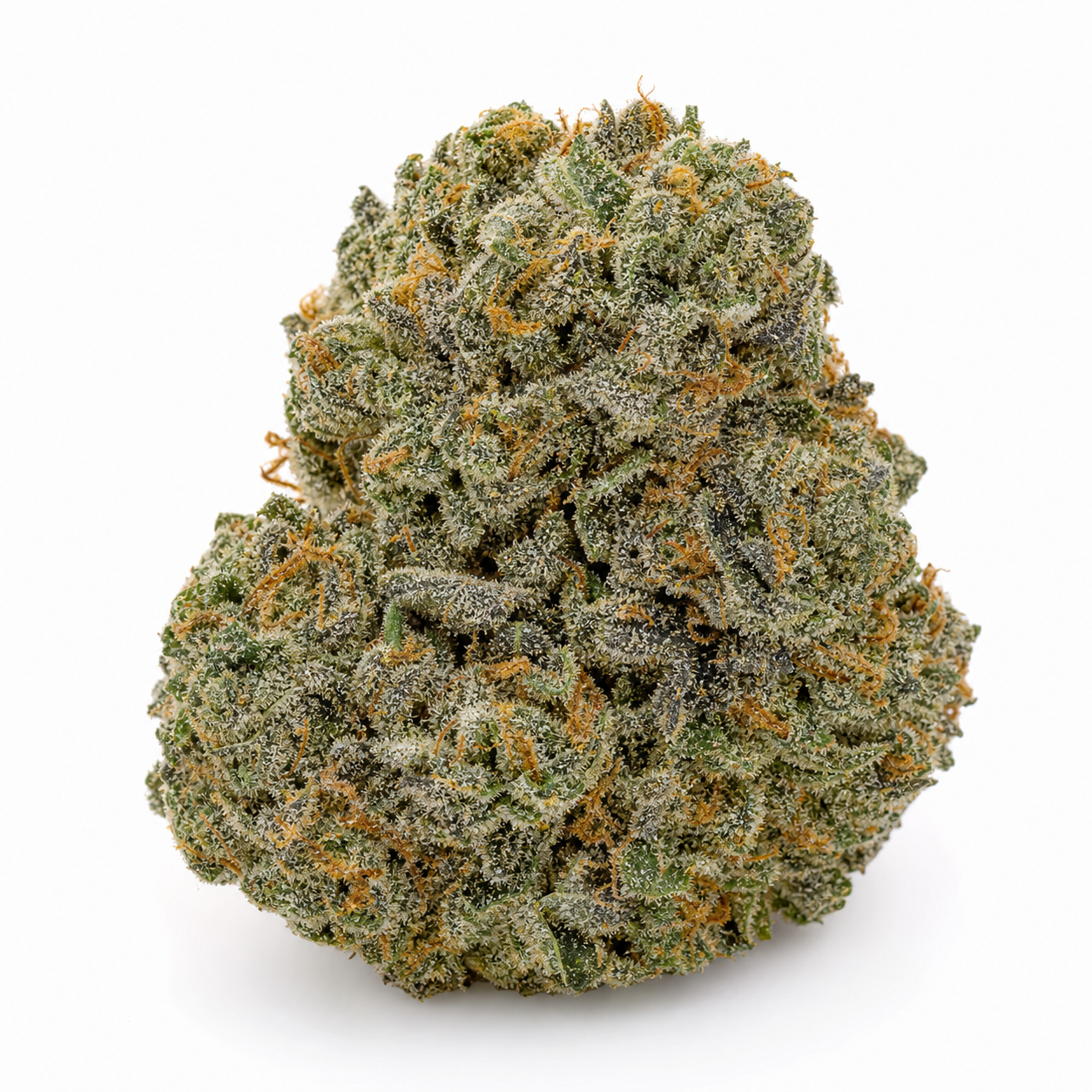 Cogollo de Auto Dream Queen de Humboldt Seed Company, compacto, verde y cubierto de tricomas y filamentos naranjas, sobre fondo blanco.