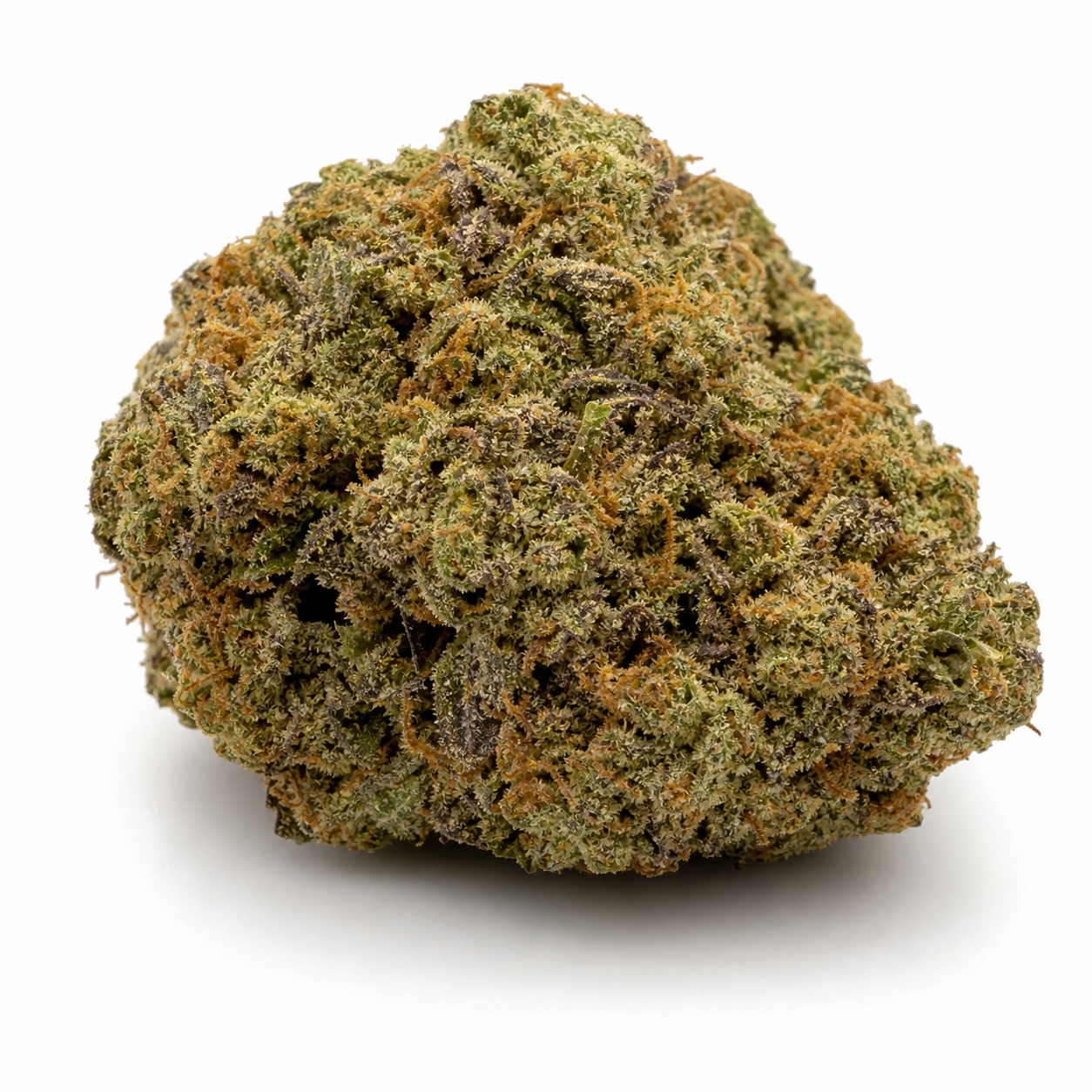 Cogollo de Auto Durban Poison de Humboldt Seed Company, compacto, verde y con zonas violáceas y filamentos anaranjados sobre fondo blanco.