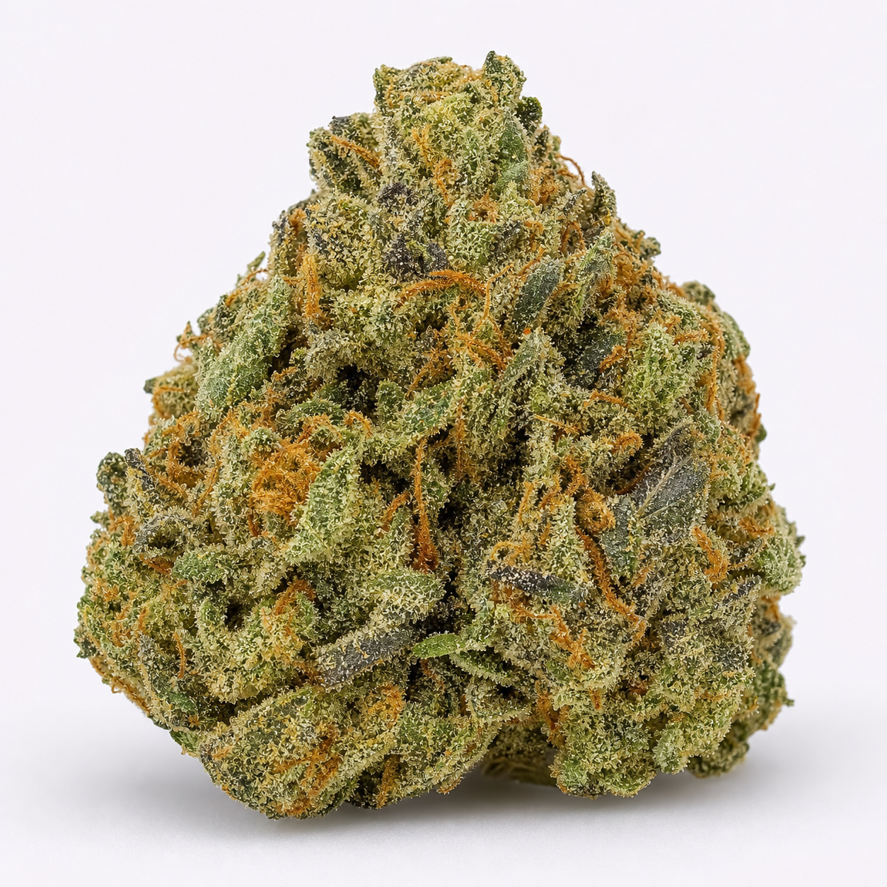 Cogollo de Auto FAT Monkey de Anesia Seeds sobre fondo blanco, con forma cónica, hojas verdes oscuras y filamentos anaranjados.