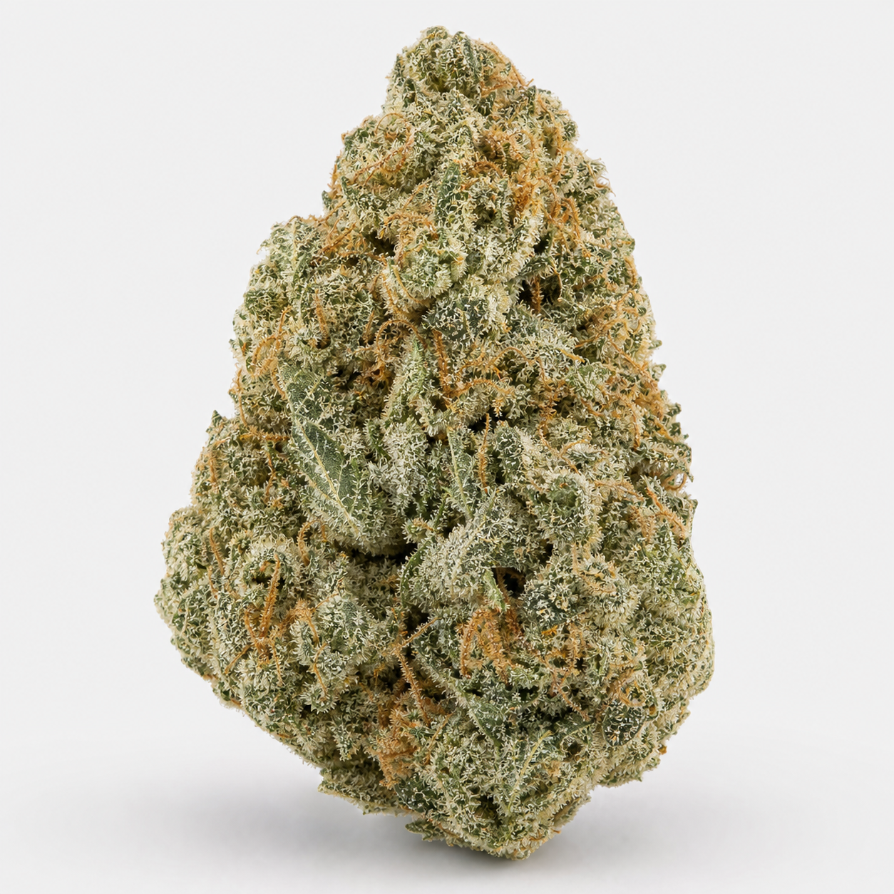 Cogollo de Auto Girl Scout Kush de Pure Instinto, compacto y cónico, con tonos verdes, filamentos anaranjados y abundante cobertura blanquecina.