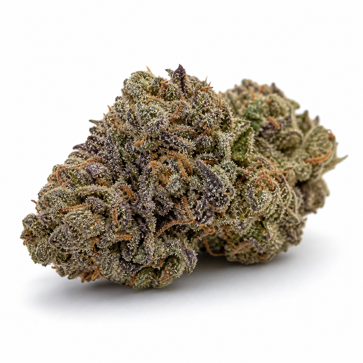 Cogollo de Auto Goat'lato x Tyson 2.0 sobre fondo blanco, con hojas verdes y moradas, pistilos naranjas y abundantes tricomas.