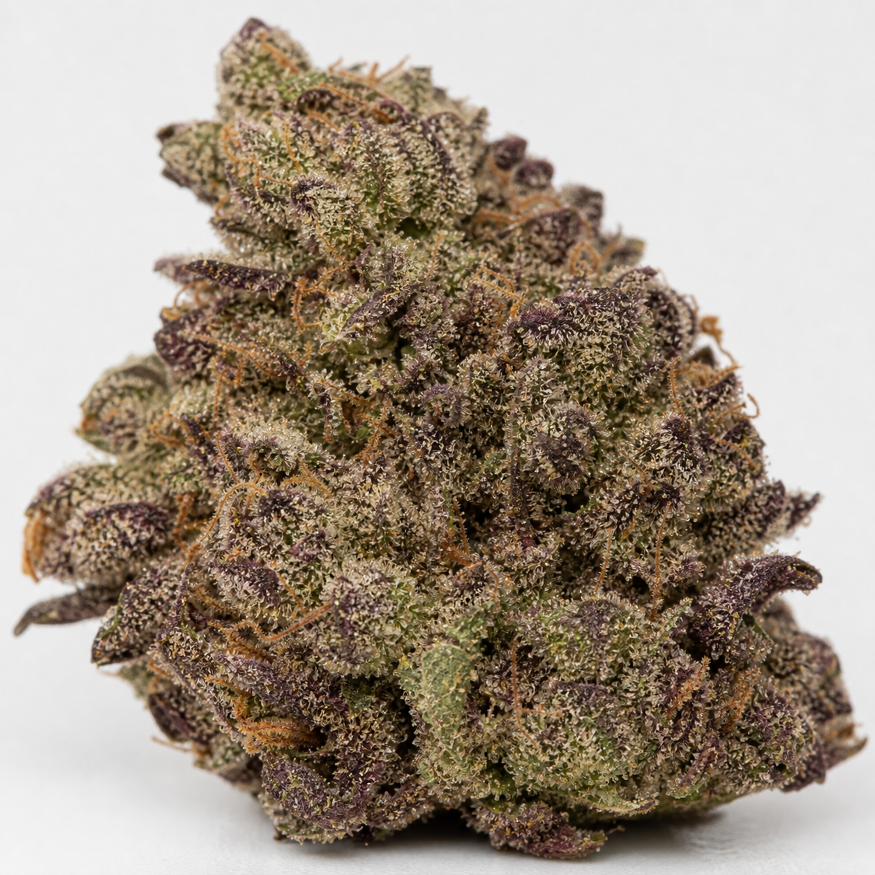 Cogollo de Auto Gorilla Punch con hojas verdes y moradas, filamentos anaranjados y abundante recubrimiento blanquecino sobre fondo blanco.