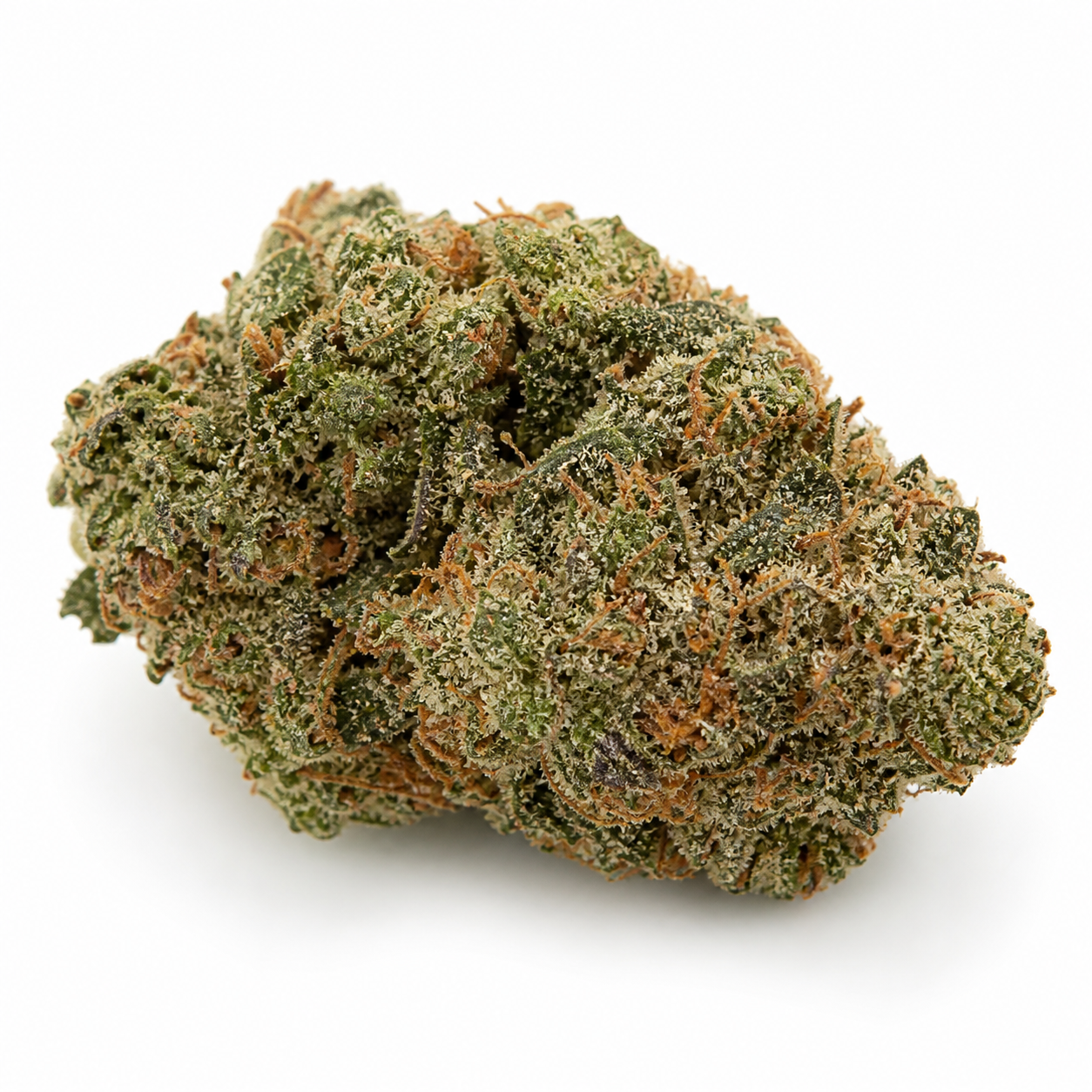 Cogollo de Auto Jungle Lava de Original Sensible Seeds, compacto y verde, con filamentos anaranjados y abundantes tricomas sobre fondo blanco.