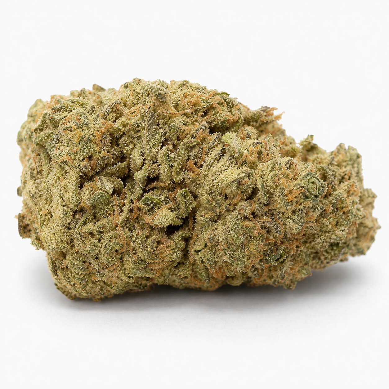 Primer plano de un cogollo de Auto Northern Hog de TH Seeds, con tonos verdes, filamentos anaranjados y superficie resinosa sobre fondo blanco.