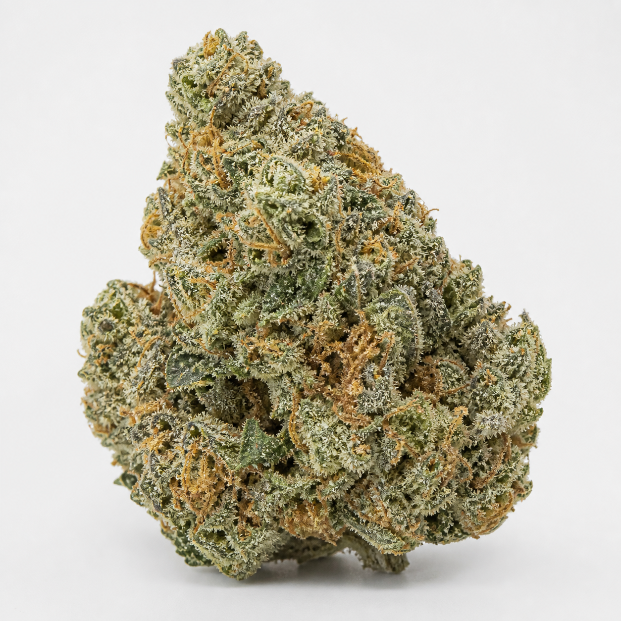 Cogollo de Auto Northern Lights de G13 Labs, de forma alargada, con hojas verdes, filamentos anaranjados y abundantes tricomas sobre fondo blanco.
