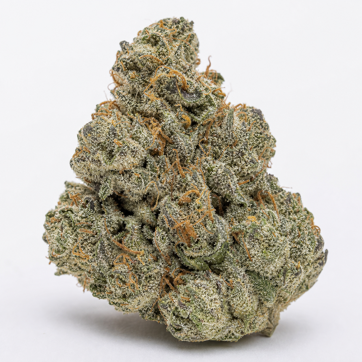 Cogollo de Auto Pineapple Larry OG XXL de BSF Seeds en primer plano, con tonos verdes, filamentos anaranjados y superficie blanquecina.