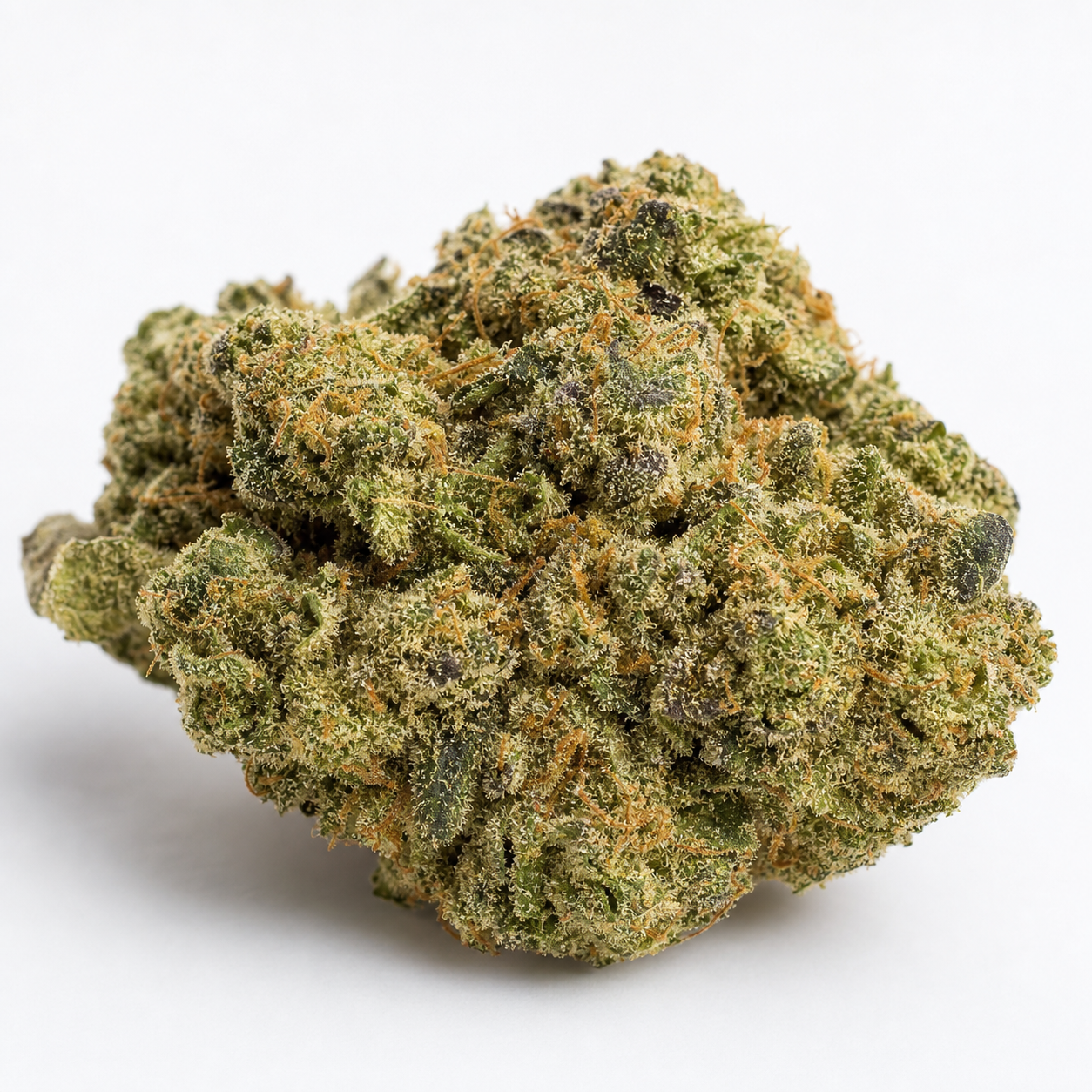 Cogollo de Auto Purple Sunset de Philosopher Seeds, compacto, con zonas verdes y moradas, filamentos anaranjados y tricomas claros.
