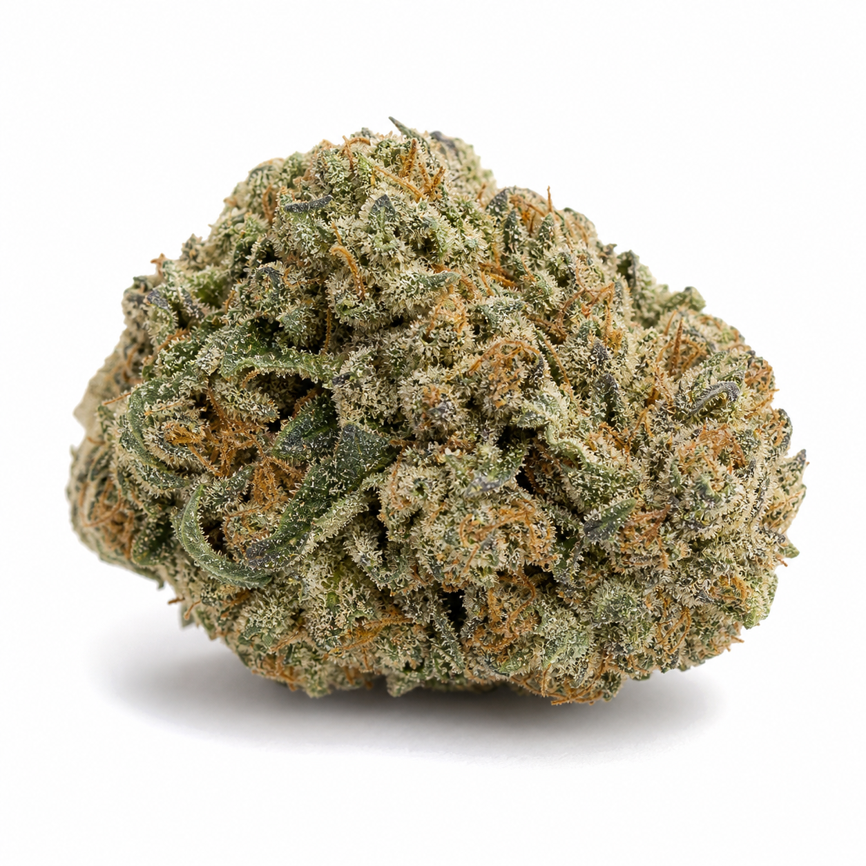 Cogollo de Auto Raspberry Cough de Nirvana Seeds en primer plano, con hojas verdes, pistilos anaranjados y abundantes tricomas claros.
