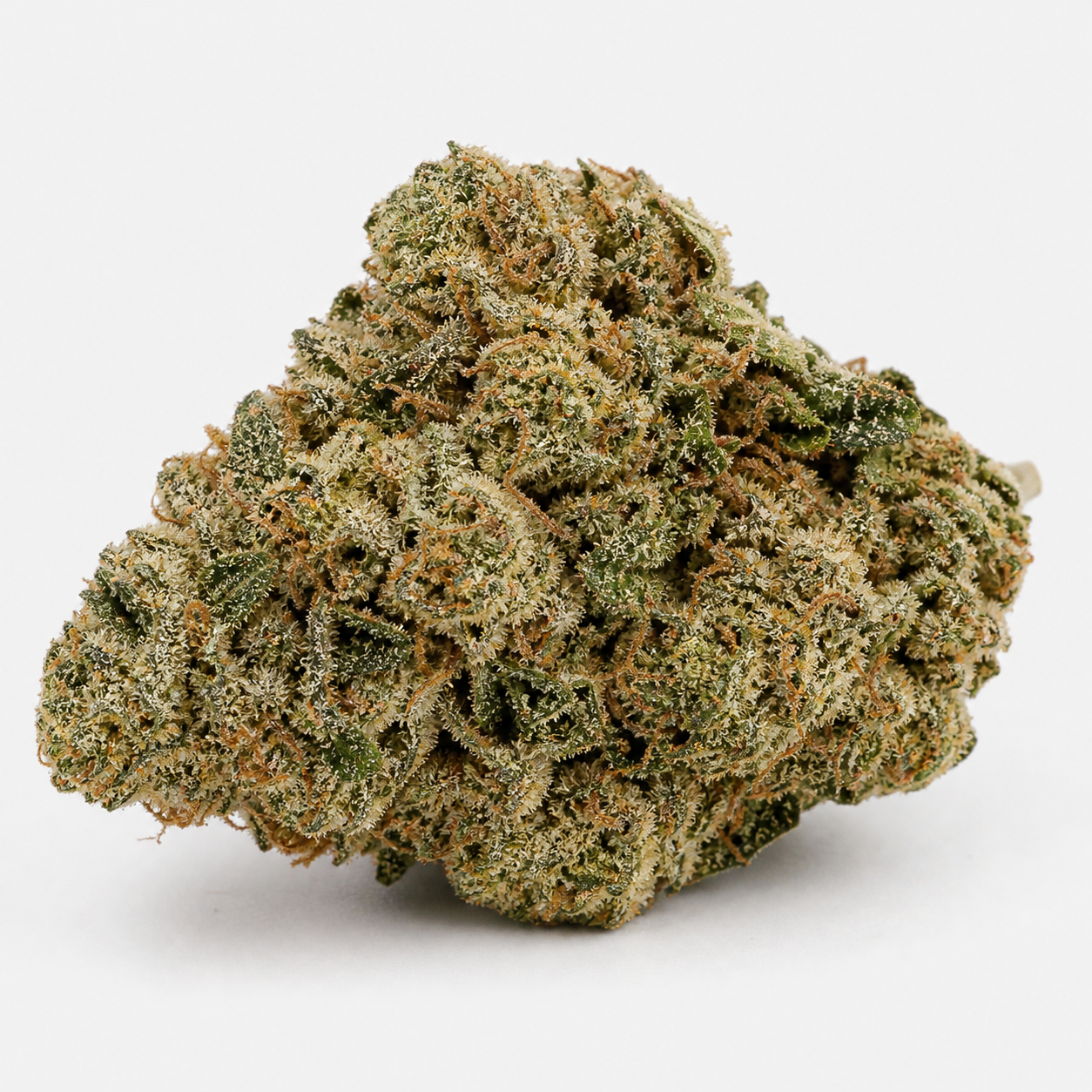 Cogollo de Auto Sour Diesel de Seed Stockers en primer plano, de forma ancha, con hojas verdes y filamentos anaranjados sobre fondo blanco.