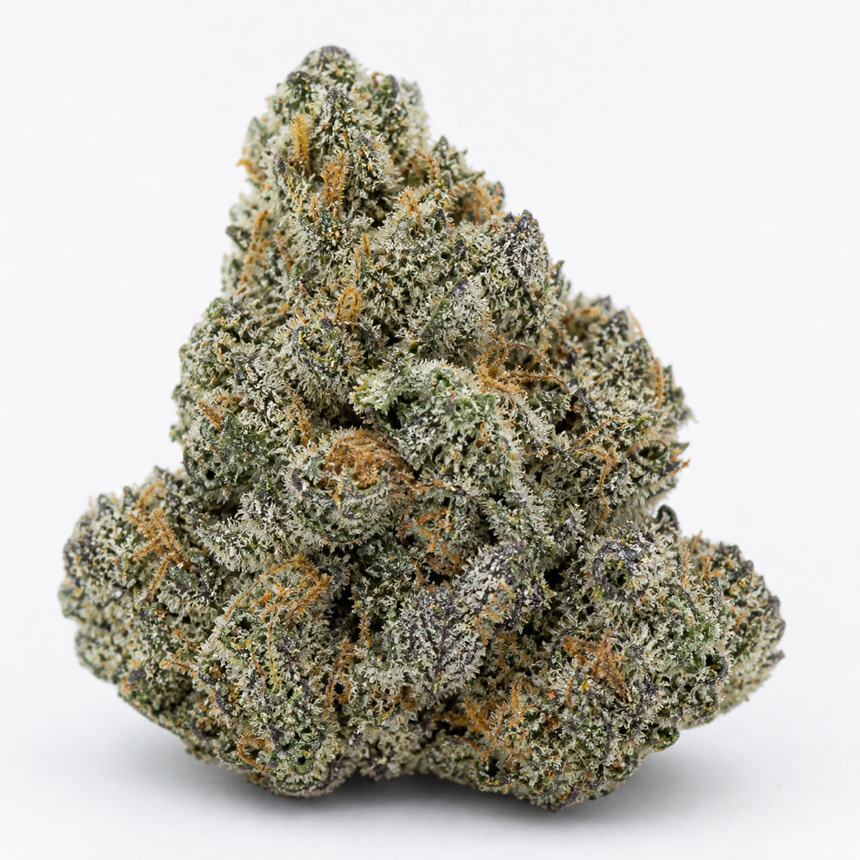 Cogollo de Auto Sunset Vibes de G13 Labs, de forma cónica, con tonos verdes y morados, filamentos anaranjados y abundante cobertura blanquecina.