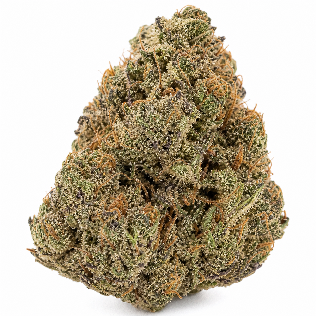 Cogollo de Auto Super Boof de Seed Stockers sobre fondo blanco, de forma cónica, con tonos verdes y morados, filamentos naranjas y tricomas claros.