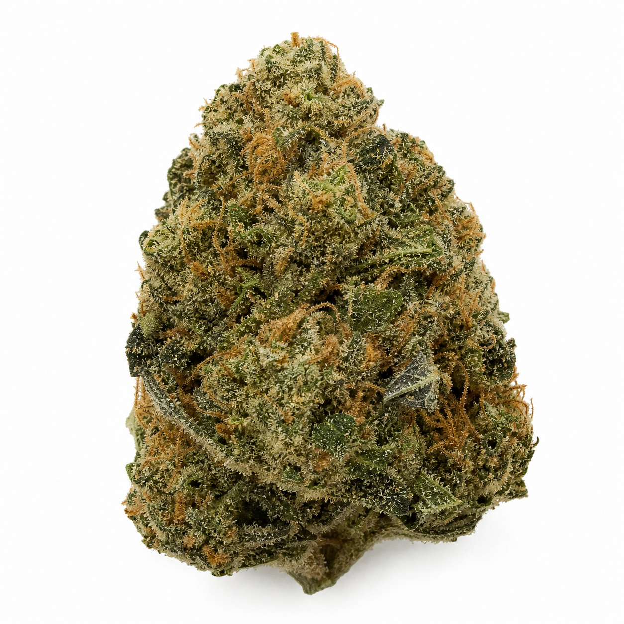 Cogollo de Auto Tri-Whip Kush sobre fondo blanco, de forma cónica, con hojas verdes, filamentos anaranjados y abundantes puntos blanquecinos.