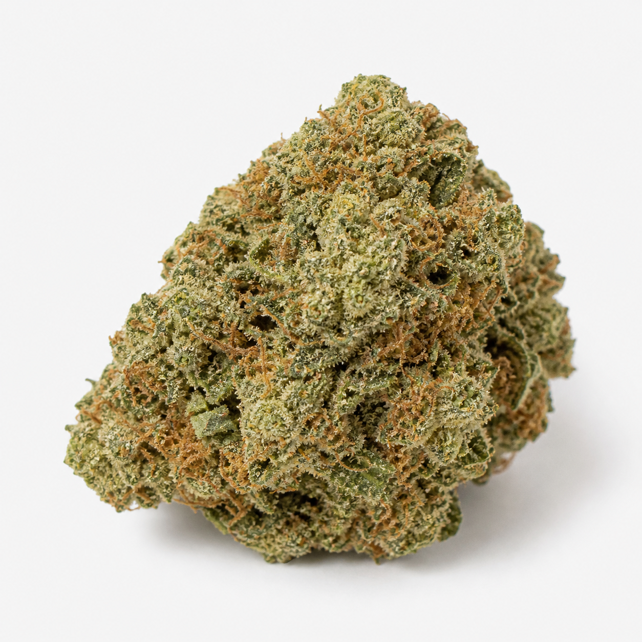 Cogollo de Auto Trichome & Cream de Dutch Passion, compacto y verde, con filamentos anaranjados y superficie blanquecina sobre fondo blanco.