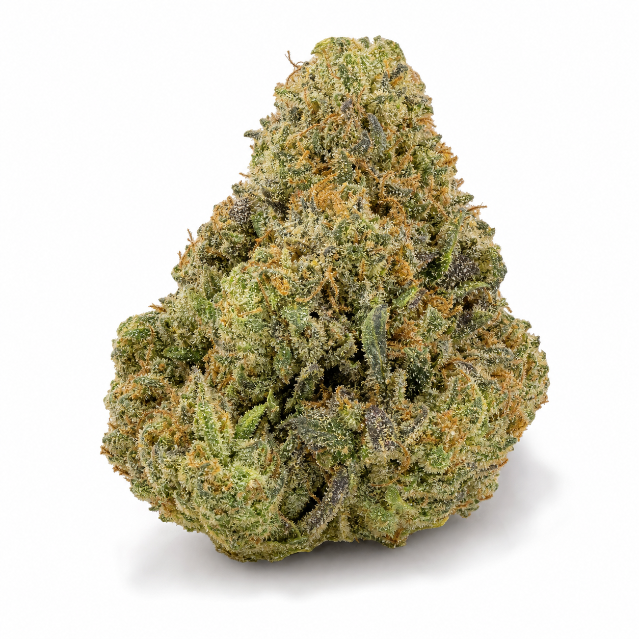 Primer plano de un cogollo de cannabis compacto sobre fondo blanco, con tonos verdes y oscuros, filamentos anaranjados y tricomas claros.
