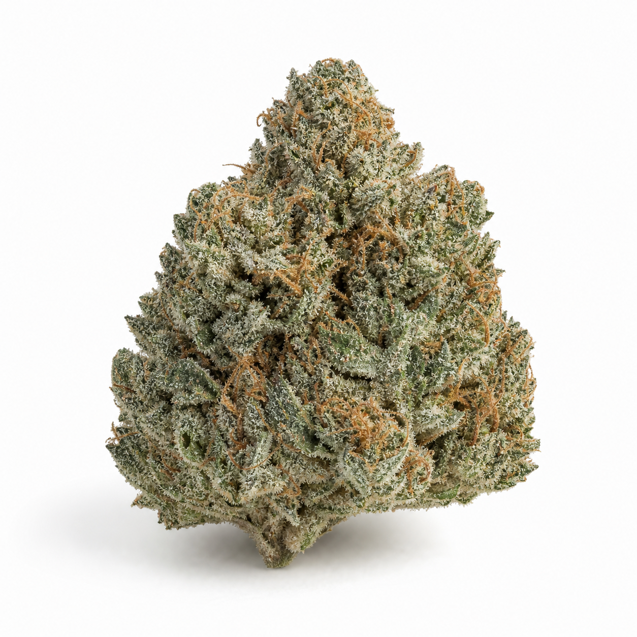 Cogollo de Banana Purple Punch Auto sobre fondo blanco, con hojas verdes curvadas, filamentos anaranjados y cobertura blanquecina.