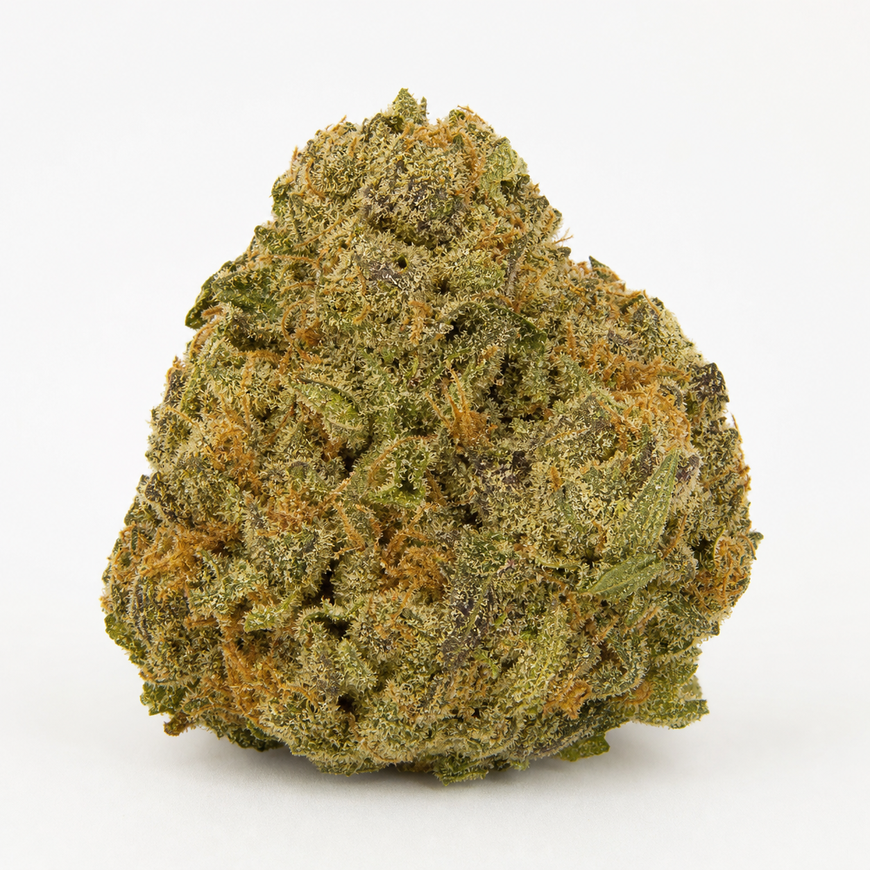 Cogollo de Blueberry Gum 2 de G13 Labs en primer plano, con tonos verdes, zonas violáceas y filamentos anaranjados sobre fondo blanco.