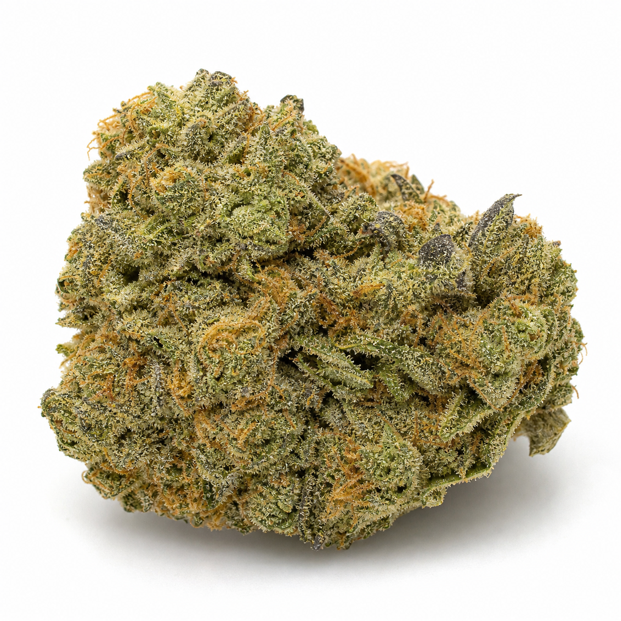Cogollo de Gorilla Kingdom Faster de BSF Seeds, compacto y verde, con filamentos anaranjados y abundante recubrimiento blanquecino.