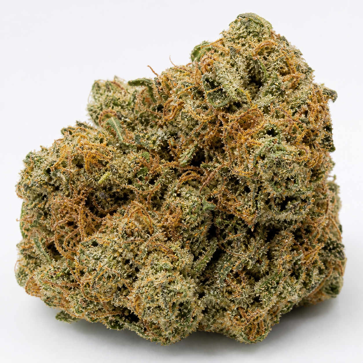 Cogollo de Bubba Kush x PCK en primer plano sobre fondo blanco, con tonos verdes, filamentos anaranjados y abundante recubrimiento blanquecino.