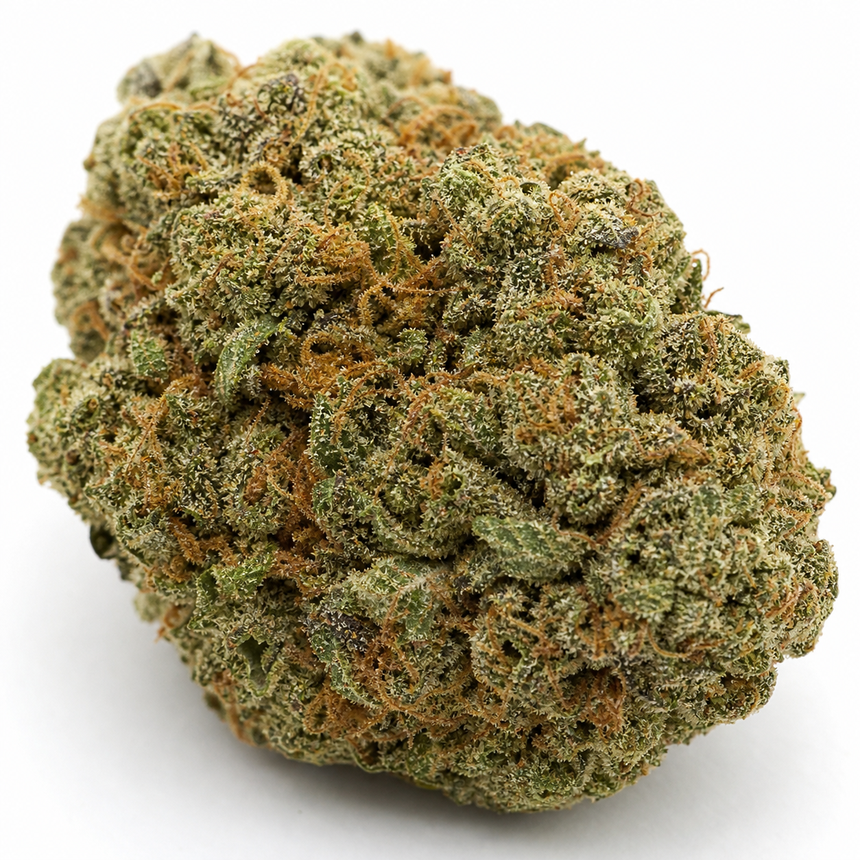Cogollo de CBD Warlock de Serious Seeds en primer plano, compacto, verde y cubierto de tricomas claros y pistilos anaranjados.