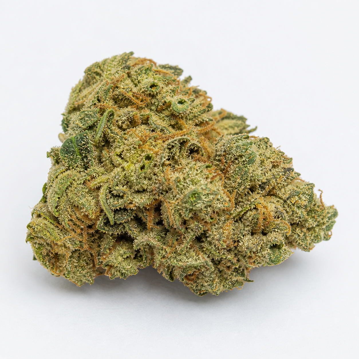 Primer plano de un cogollo de Cherry Cola Auto, verde y compacto, con pistilos anaranjados y superficie cubierta de tricomas.
