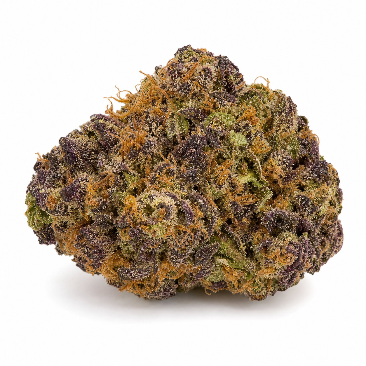 Cogollo de Cookies Sherbert Auto de Medical Seeds, compacto y redondeado, con tonos morados y verdes y filamentos anaranjados sobre fondo blanco.