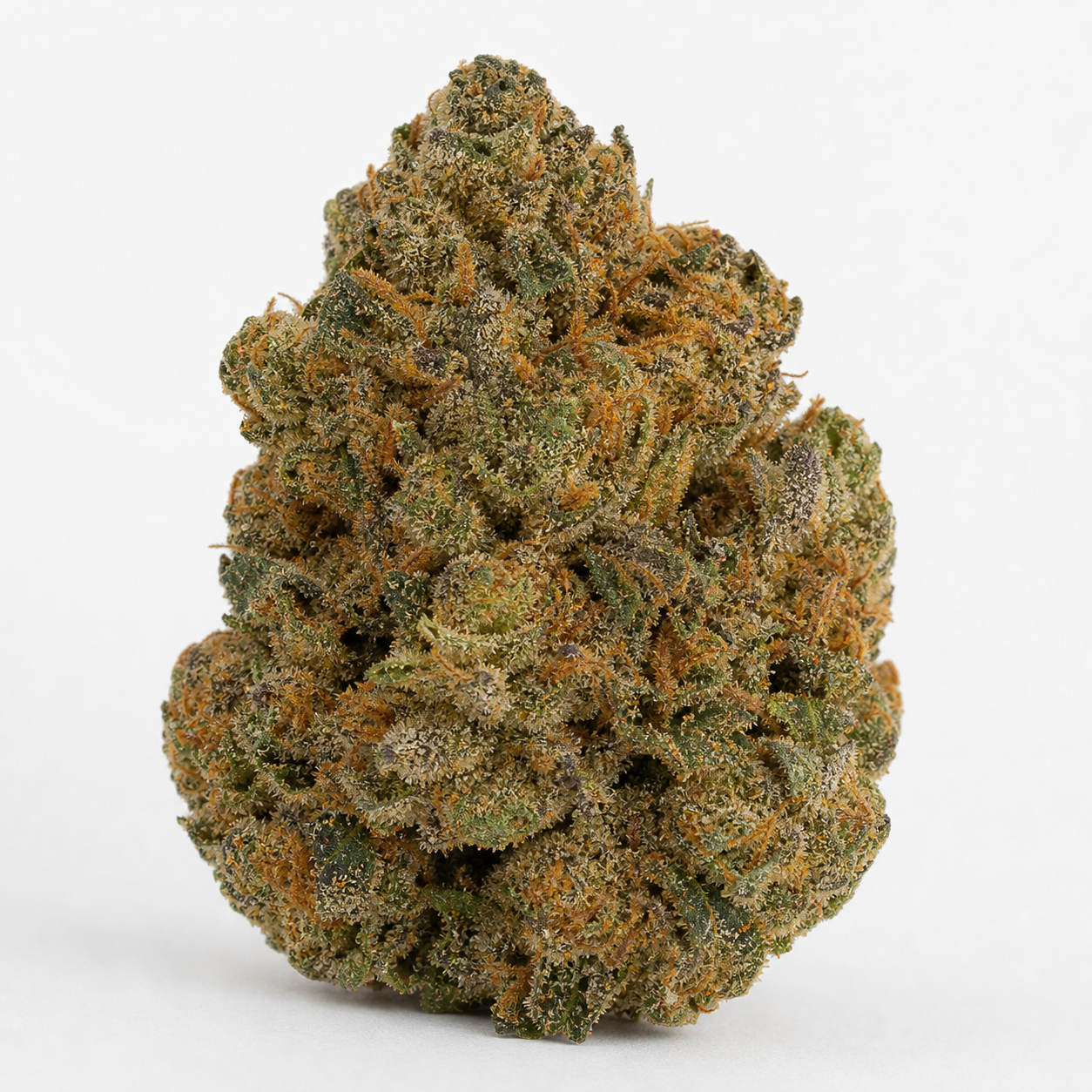 Cogollo de Eli Feminizada de R-Kiem Seeds en primer plano, con tonos verdes, pistilos anaranjados y abundantes tricomas sobre fondo blanco.