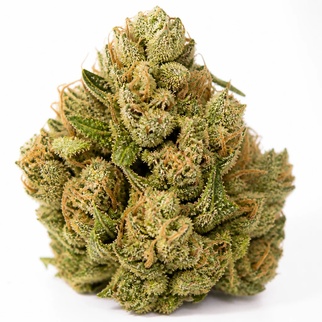 Ilustración de un cogollo verde con filamentos anaranjados y superficie cristalina para la ficha de Mimosa Lemon Auto de Expert Seeds.
