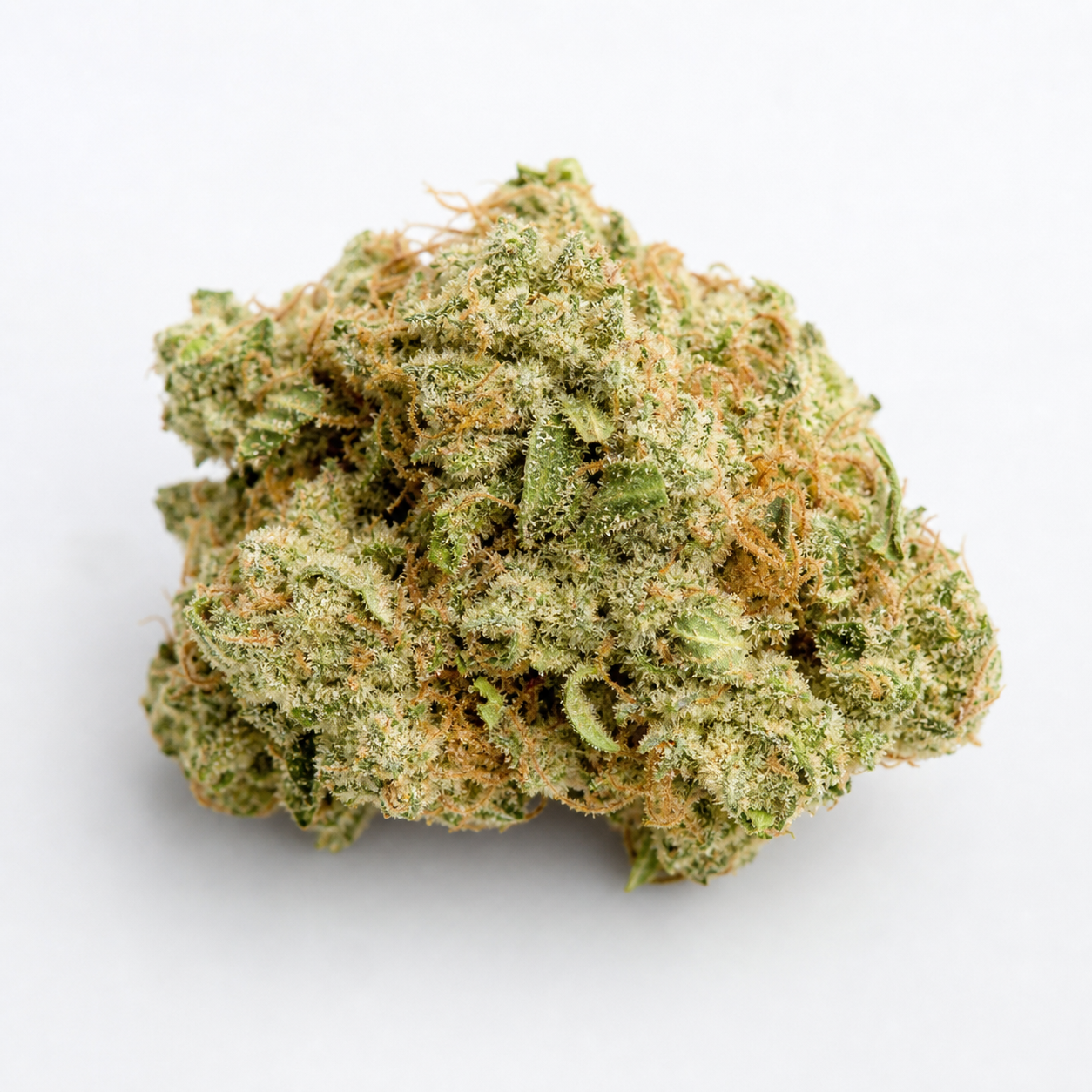 Primer plano de un cogollo de Blue Dream Matic de Fast Buds, verde, con filamentos anaranjados y abundantes tricomas claros sobre fondo blanco.