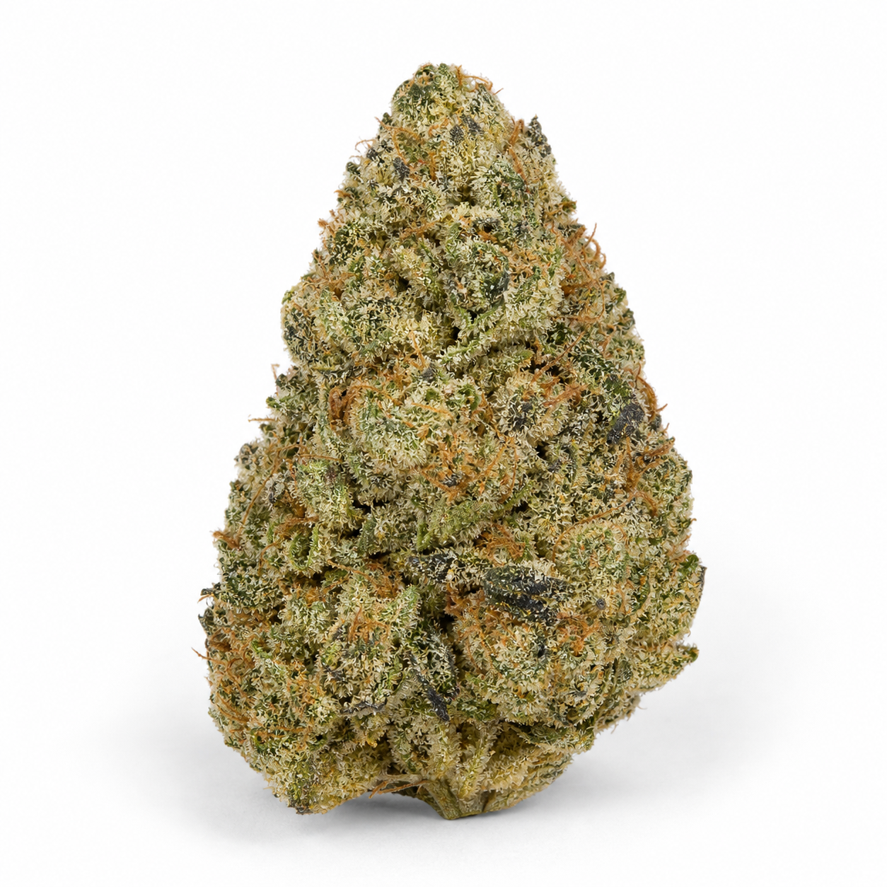Cogollo de CBD Crack Auto de Fast Buds en primer plano, con forma cónica, tonos verdes y filamentos anaranjados sobre fondo blanco.
