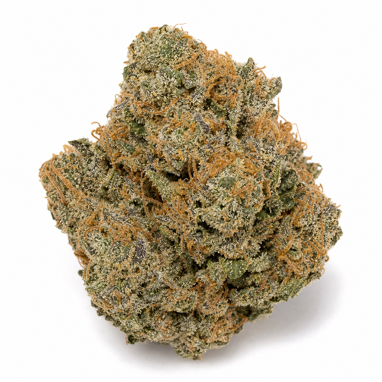 Cogollo de Cream Cookies Auto de Fast Buds sobre fondo blanco, de forma cónica, con abundantes filamentos naranjas y cobertura blanquecina.