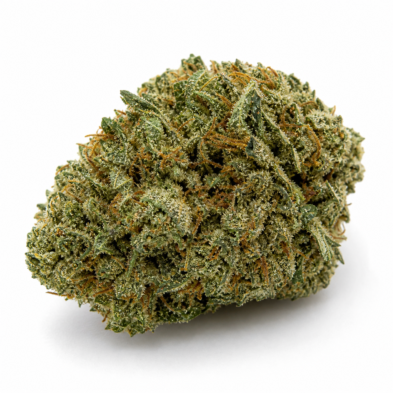 Cogollo de Afghan Kush Auto de Fast Buds en primer plano, verde, compacto y ancho, con filamentos anaranjados sobre fondo blanco.