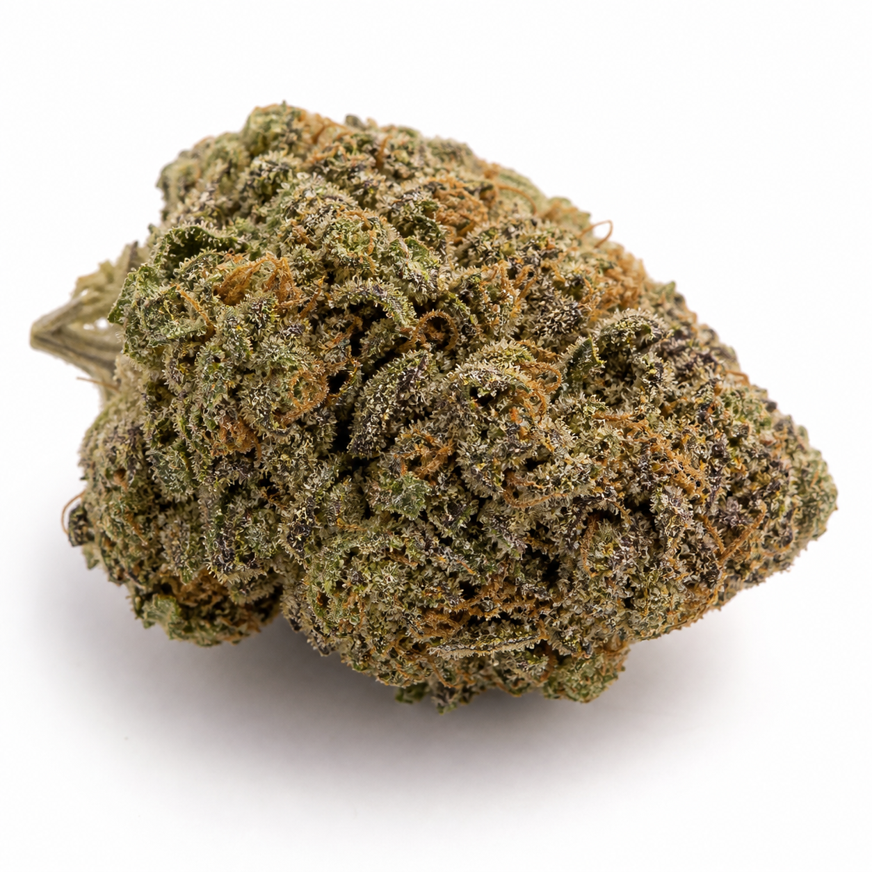 Cogollo de Big Bud Auto de Fast Buds sobre fondo blanco, con hojas verdes y oscuras, pistilos anaranjados y tricomas visibles.