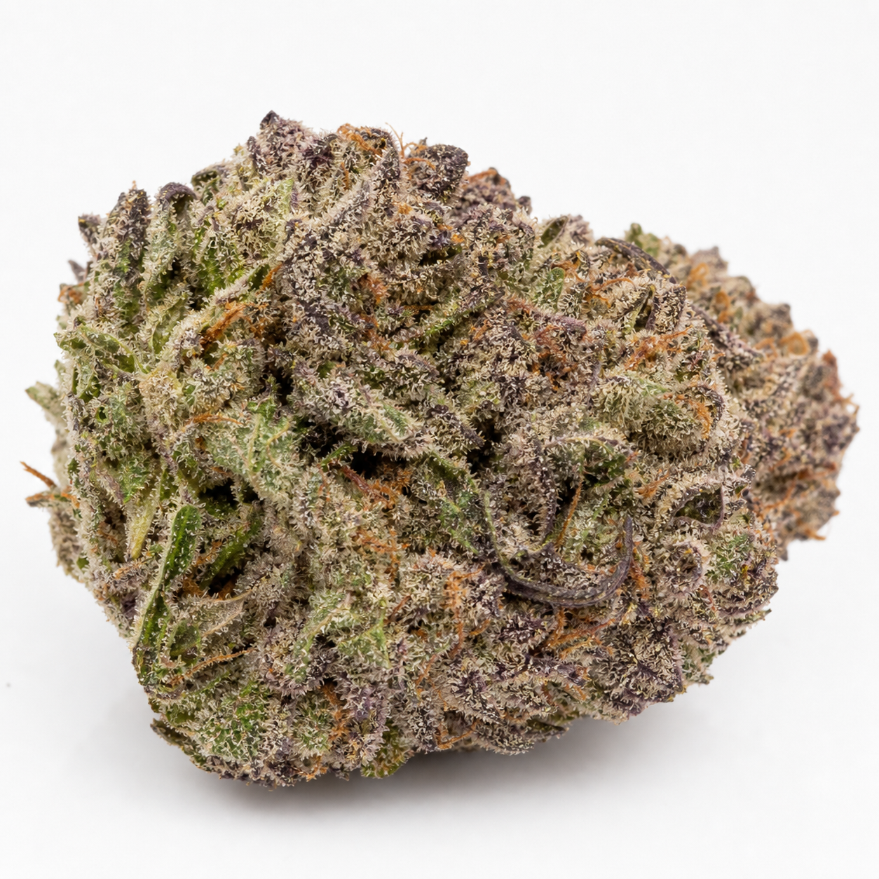 Cogollo de Blueberry Auto en primer plano sobre fondo blanco, con forma redondeada, hojas verdes y moradas y abundantes tricomas claros.