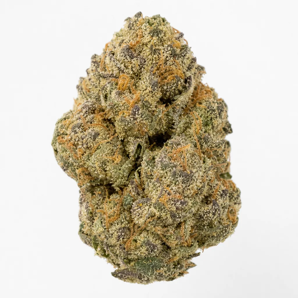 Cogollo de Forbidden Runtz Auto de Fast Buds en primer plano, con tonos verdes y morados, filamentos anaranjados y abundantes tricomas.