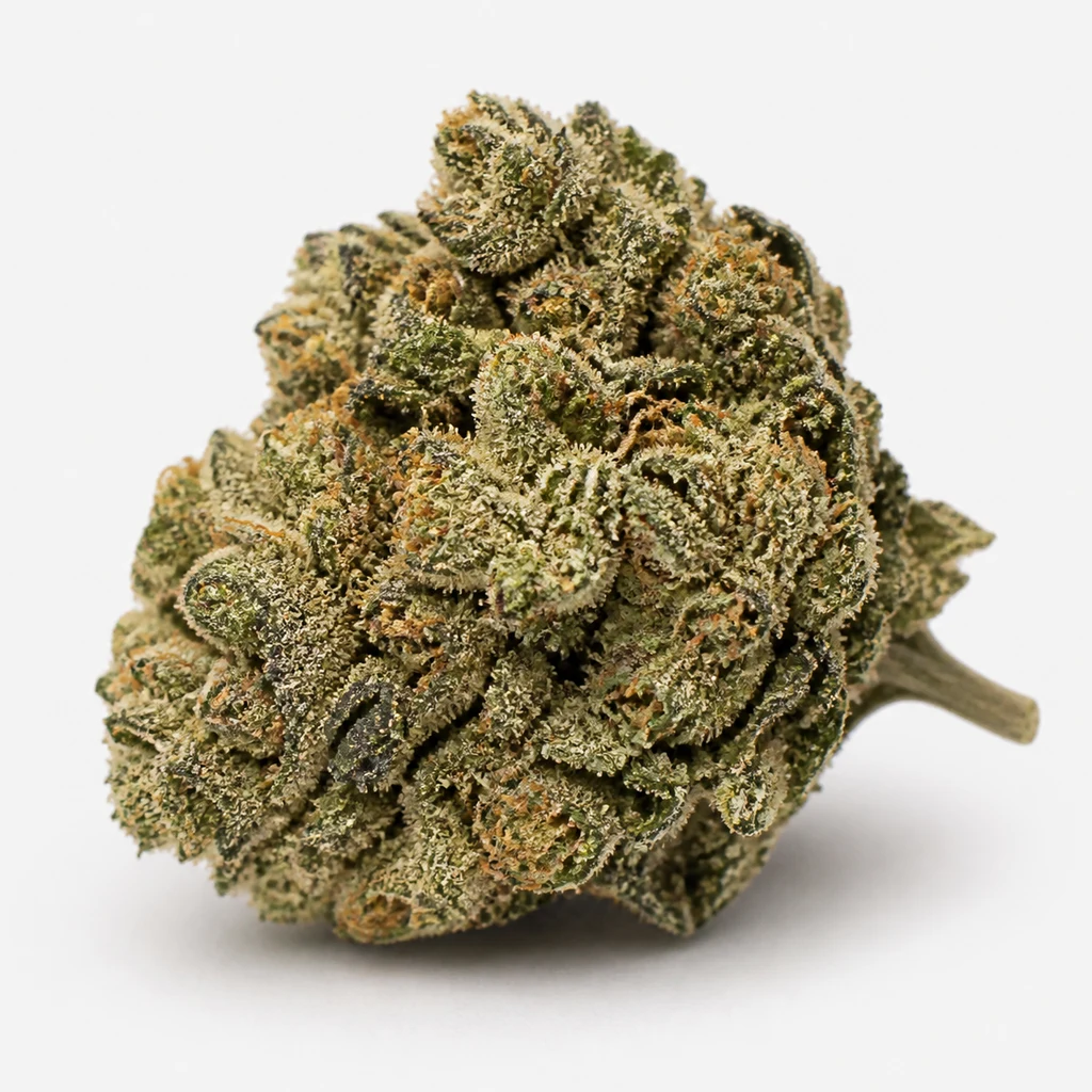 Ilustración de un cogollo compacto verde con filamentos anaranjados y superficie blanquecina para la ficha de Trainwreck Auto de Fast Buds.