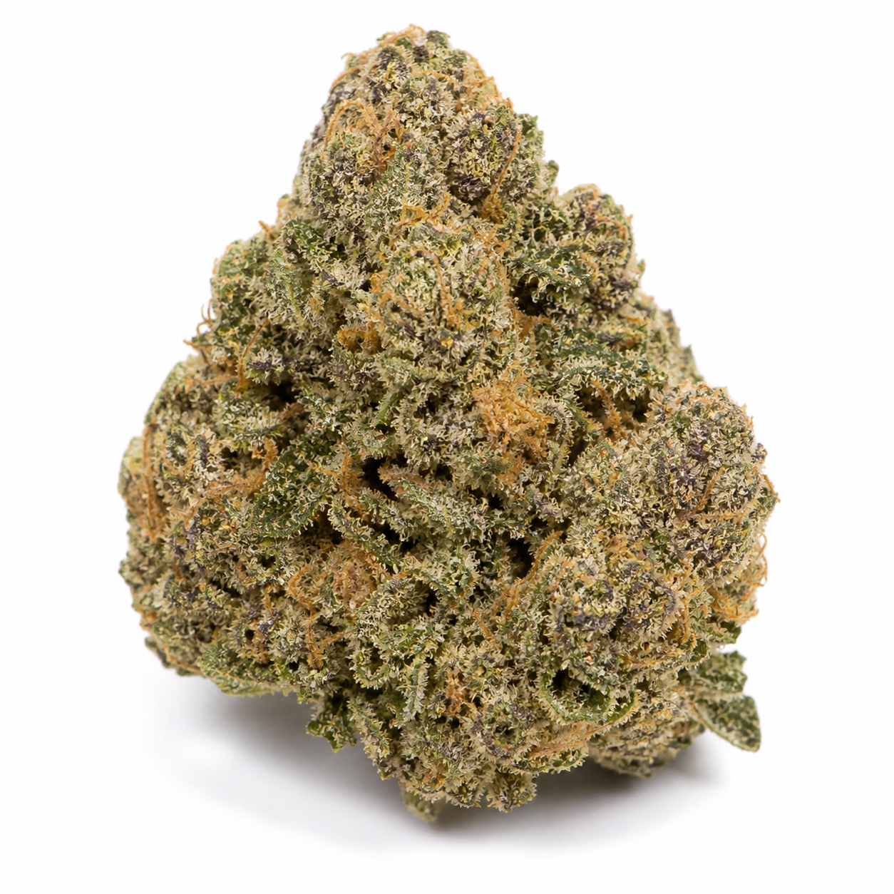 Cogollo de Gorilla Glue 4 x Bubba Kush sobre fondo blanco, con tonos verdes y violáceos, filamentos anaranjados y superficie blanquecina.