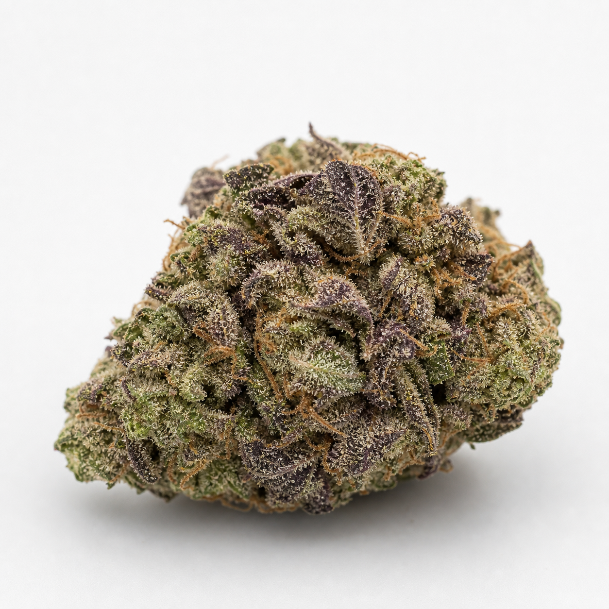 Cogollo de Cali Bay Dream Feminizada de Garden Of Green, compacto, con hojas verdes y moradas, pistilos anaranjados y tricomas visibles.