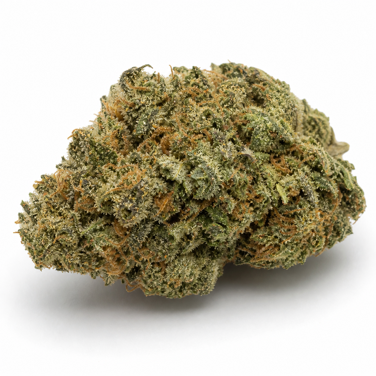 Cogollo de Gorilla Punch Auto de Fast Buds en primer plano, de forma ancha e irregular, verde con filamentos anaranjados sobre fondo blanco.