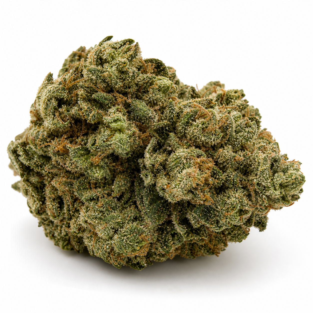 Cogollo de Gorilla Zkittlez Auto de Fast Buds, compacto y ancho, con hojas verdes, filamentos anaranjados y tricomas sobre fondo blanco.