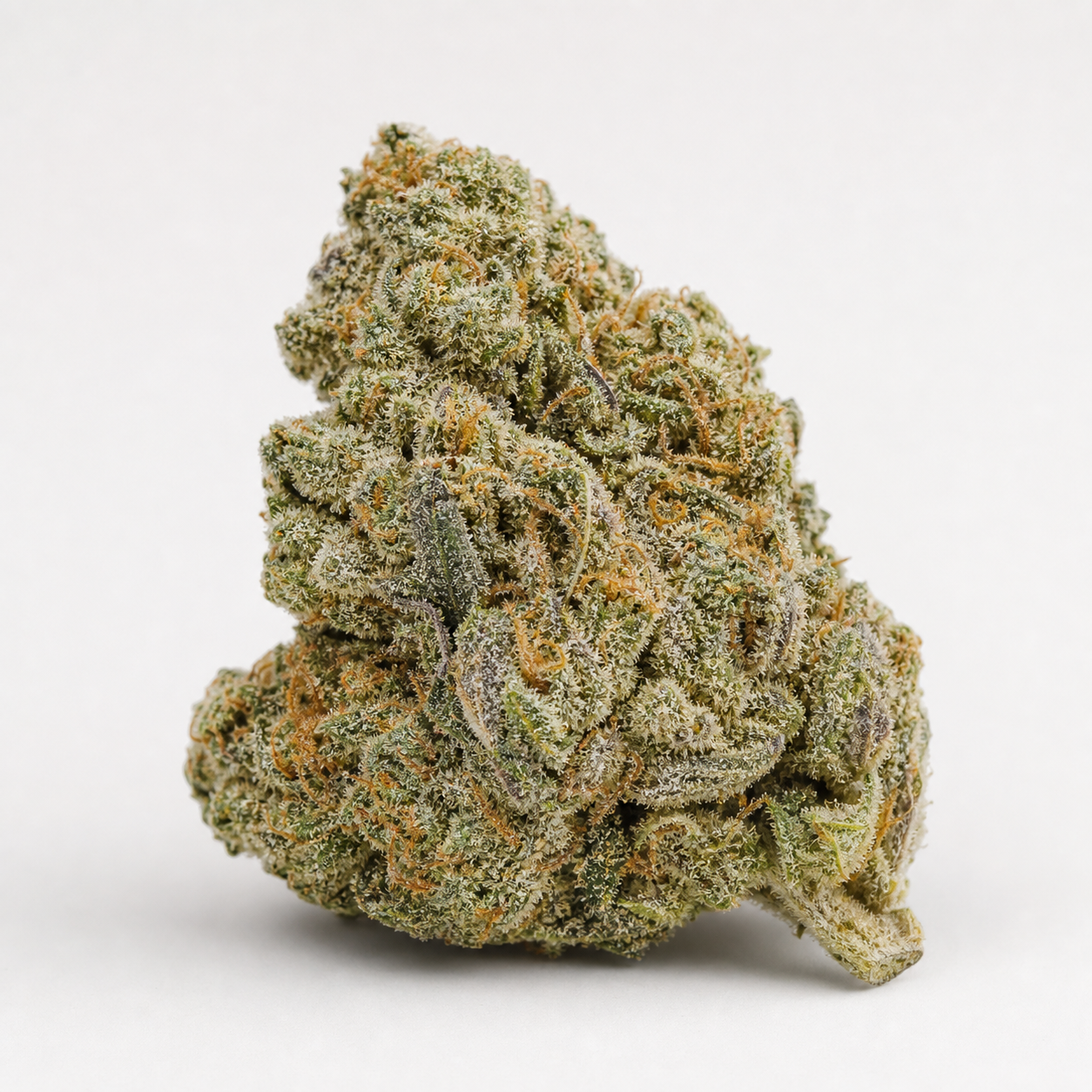Cogollo de Gorilla Zkittlez Fast de cerca, con tonos verdes, pequeños pelos anaranjados y una densa cobertura blanquecina sobre fondo blanco.