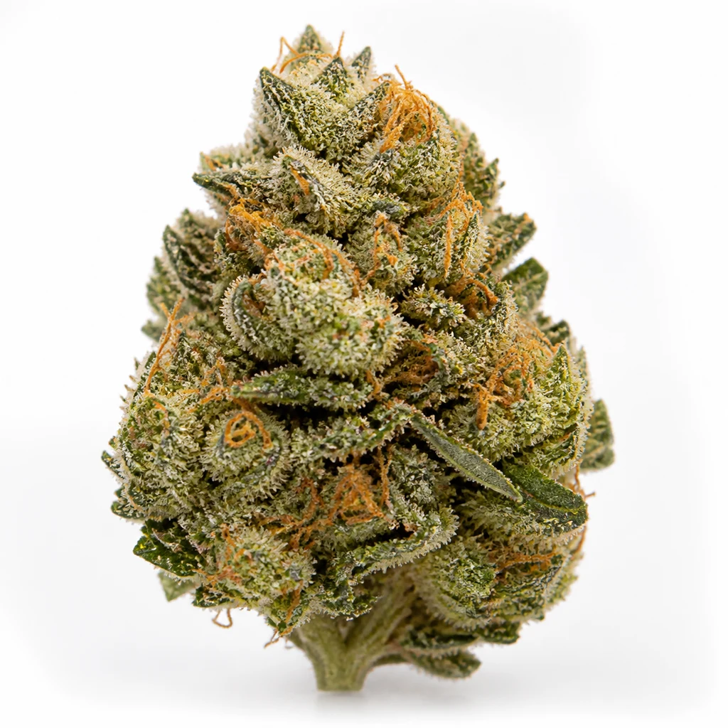 Ilustración de un cogollo verde con pistilos anaranjados y abundantes puntos blanquecinos para la ficha de Guava Sundae Auto de Fast Buds.