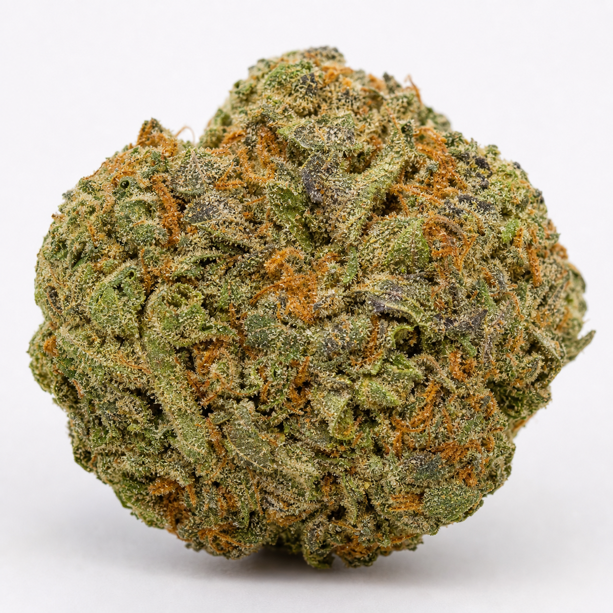 Cogollo de Haze XXL Auto de PEV Seeds en primer plano, de forma redondeada, con hojas verdes, pistilos anaranjados y abundantes tricomas.