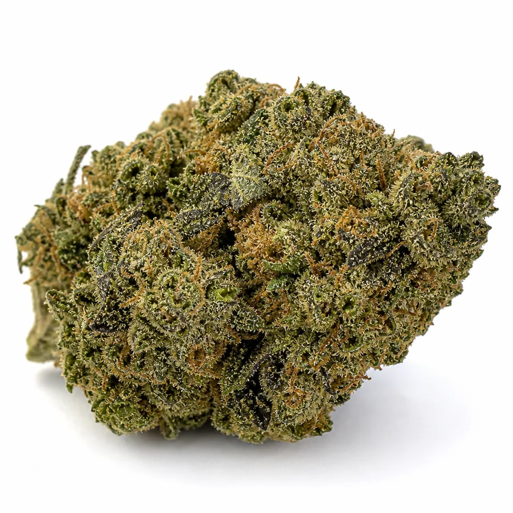 Cogollo de Hindu Kush Auto de Sensi Seeds en primer plano, con hojas verdes oscuras, filamentos anaranjados y tricomas sobre fondo blanco.
